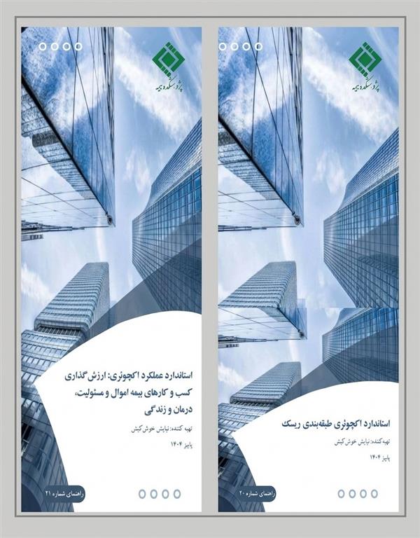 IRC Releases Revised Actuarial Standards on Insurance Valuation and Risk Classification